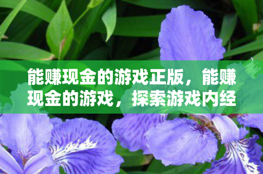 能赚现金的游戏正版,能赚现金的游戏,探索游戏内经济体系与收益机会 能赚现金的游戏正版,能赚现金的游戏,探索游戏内经济体系与收益机会