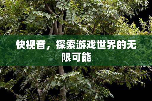 快视音,探索游戏世界的无限可能 快视音,探索游戏世界的无限可能