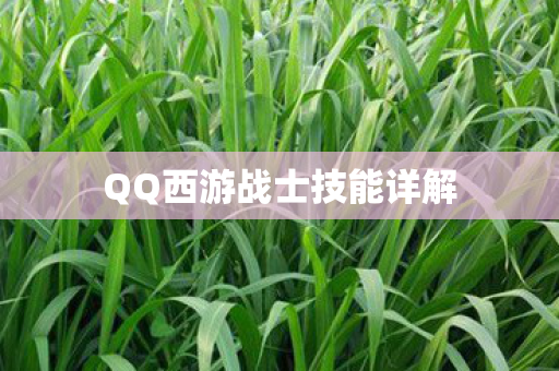 QQ西游战士技能详解 QQ西游战士技能详解