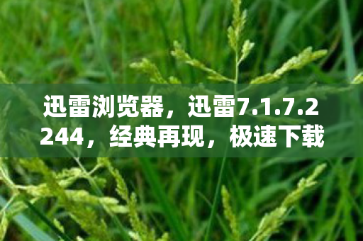 迅雷浏览器，迅雷7.1.7.2244，经典再现，极速下载新体验