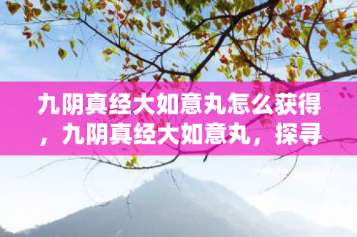 九阴真经大如意丸怎么获得，九阴真经大如意丸，探寻武侠世界的神秘仙丹