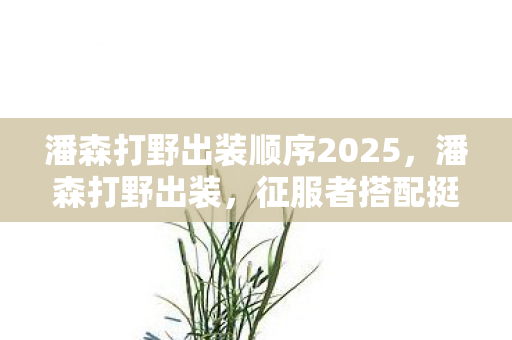 潘森打野出装顺序2025，潘森打野出装，征服者搭配挺进破坏者，野区霸主强势来袭
