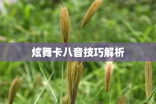 炫舞卡八音技巧解析