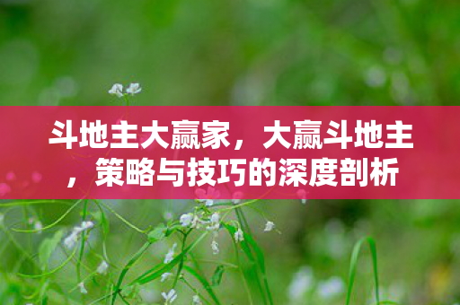 斗地主大赢家，大赢斗地主，策略与技巧的深度剖析