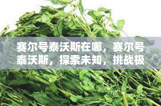 赛尔号泰沃斯在哪,赛尔号泰沃斯,探索未知,挑战极限 赛尔号泰沃斯在哪,赛尔号泰沃斯,探索未知,挑战极限