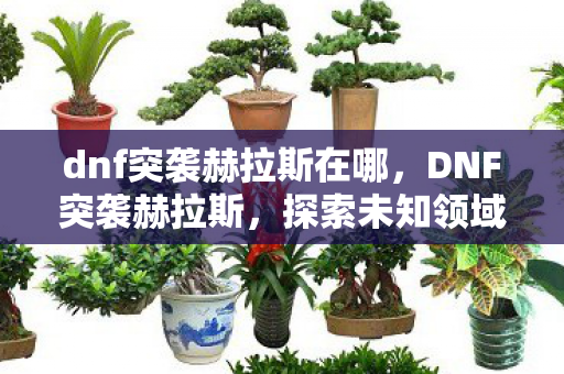 dnf突袭赫拉斯在哪,DNF突袭赫拉斯,探索未知领域的冒险之旅 dnf突袭赫拉斯在哪,DNF突袭赫拉斯,探索未知领域的冒险之旅
