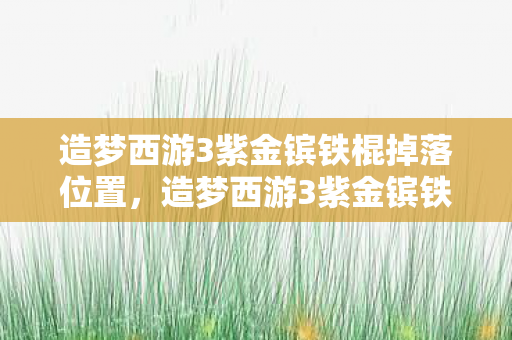造梦西游3紫金镔铁棍掉落位置，造梦西游3紫金镔铁棍，探寻经典背后的传奇故事
