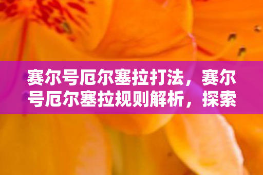 赛尔号厄尔塞拉打法，赛尔号厄尔塞拉规则解析，探索宇宙的奥秘与战斗策略