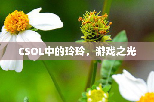 CSOL中的玲玲,游戏之光 CSOL中的玲玲,游戏之光