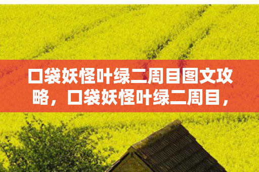 口袋妖怪叶绿二周目图文攻略，口袋妖怪叶绿二周目，挑战与探索的延续