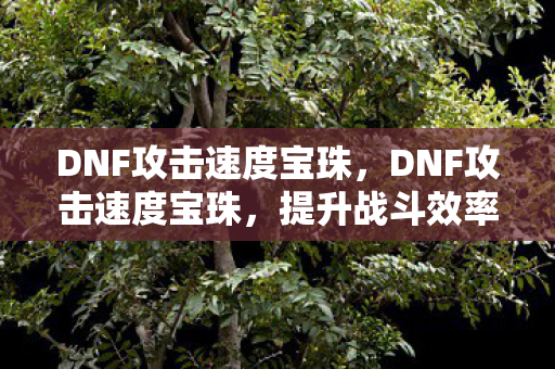 DNF攻击速度宝珠，DNF攻击速度宝珠，提升战斗效率的关键