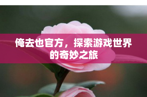 俺去也官方,探索游戏世界的奇妙之旅 俺去也官方,探索游戏世界的奇妙之旅