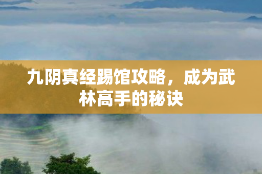 九阴真经踢馆攻略,成为武林高手的秘诀 九阴真经踢馆攻略,成为武林高手的秘诀