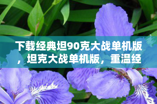 下载经典坦90克大战单机版,坦克大战单机版,重温经典,畅享单机乐趣 下载经典坦90克大战单机版,坦克大战单机版,重温经典,畅享单机乐趣