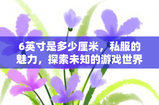 6英寸是多少厘米，私服的魅力，探索未知的游戏世界