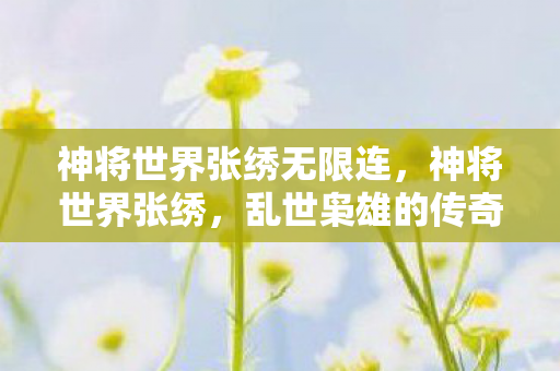 神将世界张绣无限连，神将世界张绣，乱世枭雄的传奇故事