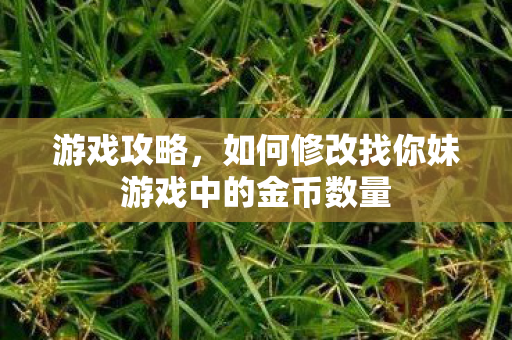 游戏攻略,如何修改找你妹游戏中的金币数量 游戏攻略,如何修改找你妹游戏中的金币数量