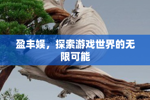 盈丰娱，探索游戏世界的无限可能
