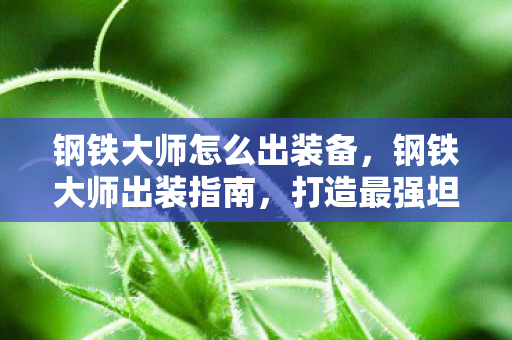 钢铁大师怎么出装备,钢铁大师出装指南,打造最强坦克的秘诀 钢铁大师怎么出装备,钢铁大师出装指南,打造最强坦克的秘诀