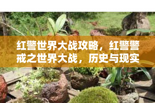 红警世界大战攻略,红警警戒之世界大战,历史与现实的交汇 红警世界大战攻略,红警警戒之世界大战,历史与现实的交汇