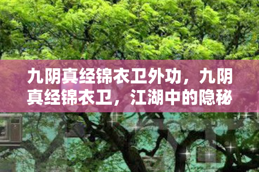 九阴真经锦衣卫外功,九阴真经锦衣卫,江湖中的隐秘力量 九阴真经锦衣卫外功,九阴真经锦衣卫,江湖中的隐秘力量