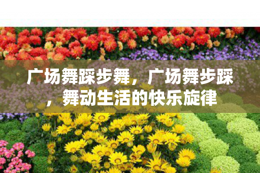 广场舞踩步舞，广场舞步踩，舞动生活的快乐旋律