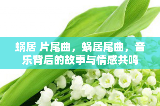 蜗居 片尾曲,蜗居尾曲,音乐背后的故事与情感共鸣 蜗居 片尾曲,蜗居尾曲,音乐背后的故事与情感共鸣