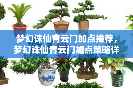 梦幻诛仙青云门加点推荐,梦幻诛仙青云门加点策略详解 梦幻诛仙青云门加点推荐,梦幻诛仙青云门加点策略详解