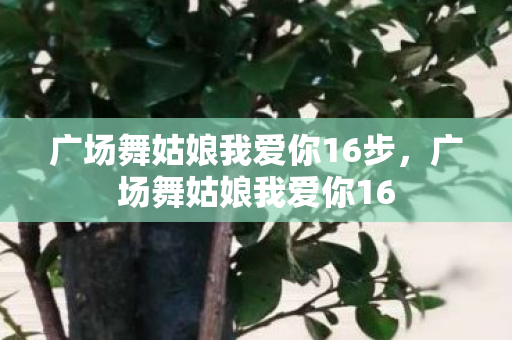 广场舞姑娘我爱你16步,广场舞姑娘我爱你16 广场舞姑娘我爱你16步,广场舞姑娘我爱你16
