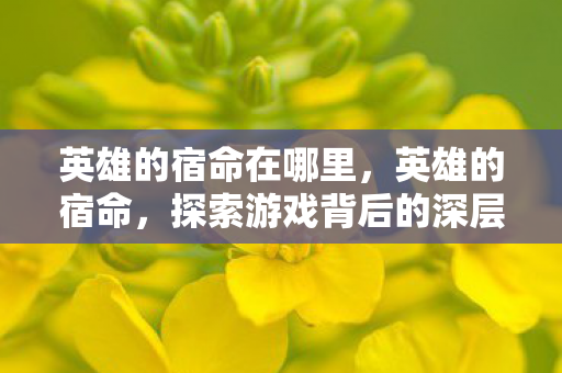 英雄的宿命在哪里,英雄的宿命,探索游戏背后的深层意义 英雄的宿命在哪里,英雄的宿命,探索游戏背后的深层意义
