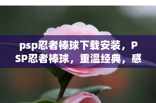 psp忍者棒球下载安装,PSP忍者棒球,重温经典,感受热血与激情 psp忍者棒球下载安装,PSP忍者棒球,重温经典,感受热血与激情