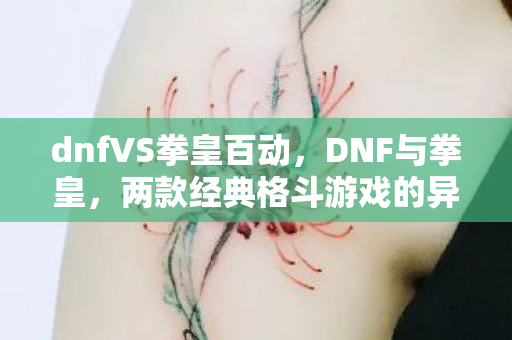 dnfVS拳皇百动，DNF与拳皇，两款经典格斗游戏的异同