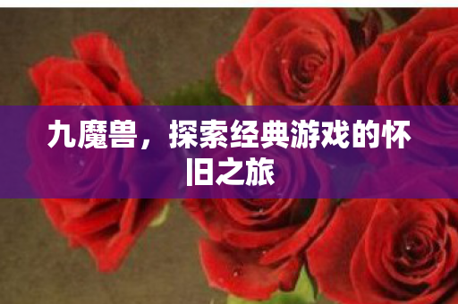 九魔兽,探索经典游戏的怀旧之旅 九魔兽,探索经典游戏的怀旧之旅