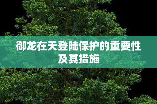 御龙在天登陆保护的重要性及其措施