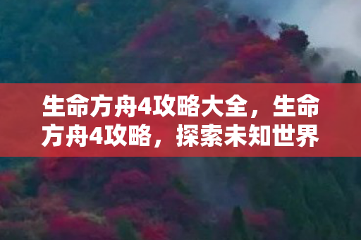 生命方舟4攻略大全,生命方舟4攻略,探索未知世界的全面指南 生命方舟4攻略大全,生命方舟4攻略,探索未知世界的全面指南
