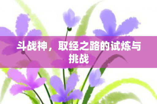 斗战神,取经之路的试炼与挑战 斗战神,取经之路的试炼与挑战