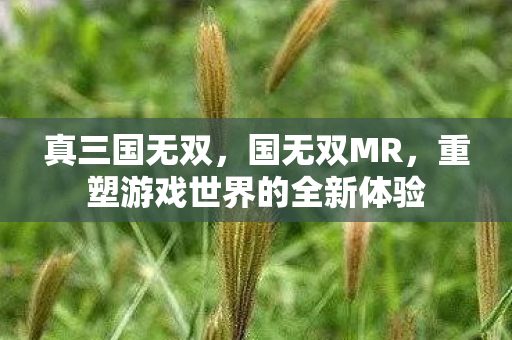 真三国无双,国无双MR,重塑游戏世界的全新体验 真三国无双,国无双MR,重塑游戏世界的全新体验