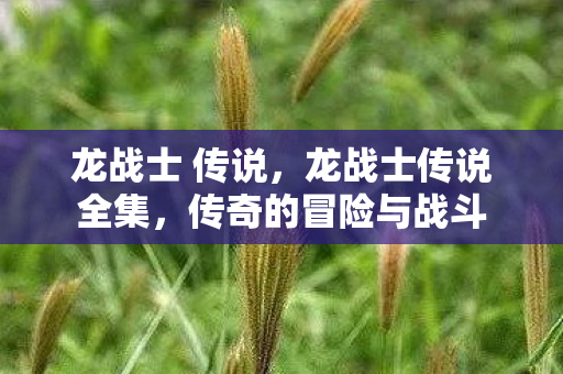 龙战士 传说,龙战士传说全集,传奇的冒险与战斗 龙战士 传说,龙战士传说全集,传奇的冒险与战斗