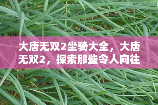 大唐无双2坐骑大全,大唐无双2,探索那些令人向往的坐骑 大唐无双2坐骑大全,大唐无双2,探索那些令人向往的坐骑