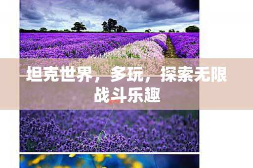 坦克世界，多玩，探索无限战斗乐趣