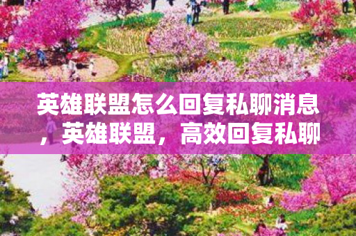 英雄联盟怎么回复私聊消息,英雄联盟,高效回复私聊的实用技巧 英雄联盟怎么回复私聊消息,英雄联盟,高效回复私聊的实用技巧