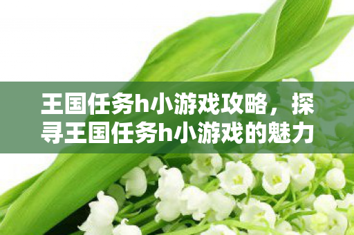 王国任务h小游戏攻略，探寻王国任务h小游戏的魅力
