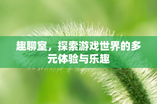 趣聊室,探索游戏世界的多元体验与乐趣 趣聊室,探索游戏世界的多元体验与乐趣