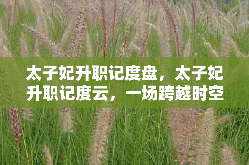 太子妃升职记度盘,太子妃升职记度云,一场跨越时空的宫廷风云 太子妃升职记度盘,太子妃升职记度云,一场跨越时空的宫廷风云
