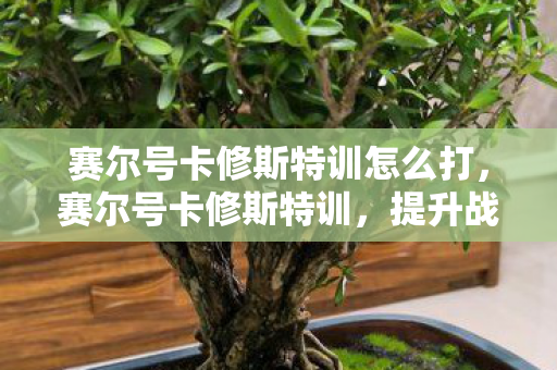 赛尔号卡修斯特训怎么打,赛尔号卡修斯特训,提升战斗力的关键步骤 赛尔号卡修斯特训怎么打,赛尔号卡修斯特训,提升战斗力的关键步骤