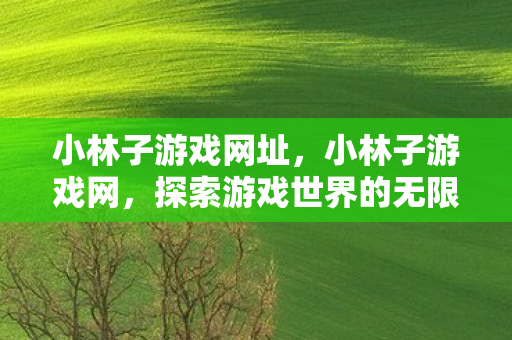 小林子游戏网址,小林子游戏网,探索游戏世界的无限可能 小林子游戏网址,小林子游戏网,探索游戏世界的无限可能
