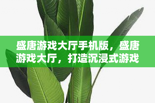 盛唐游戏大厅手机版，盛唐游戏大厅，打造沉浸式游戏体验的殿堂