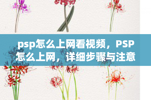 psp怎么上网看视频,PSP怎么上网,详细步骤与注意事项 psp怎么上网看视频,PSP怎么上网,详细步骤与注意事项