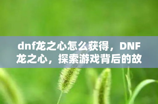 dnf龙之心怎么获得,DNF龙之心,探索游戏背后的故事与情感 dnf龙之心怎么获得,DNF龙之心,探索游戏背后的故事与情感