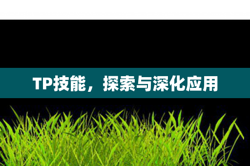TP技能,探索与深化应用 TP技能,探索与深化应用